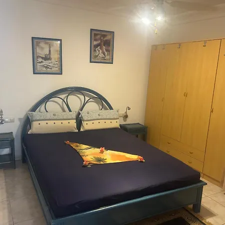 Daire Amarilla Dream *